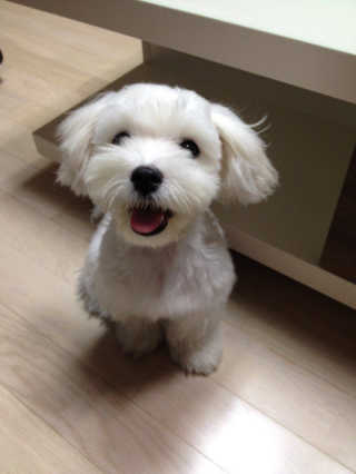 gram님이 올린 리뷰 사진 4
