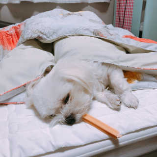 콩순이엄마님이 올린 리뷰 사진 2