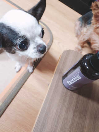 snoopy님이 올린 리뷰 사진 2