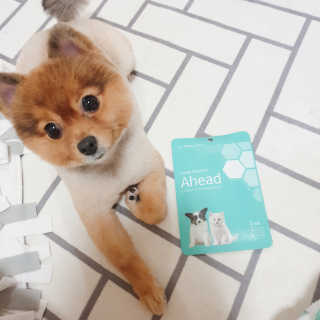 은선이짱님이 올린 리뷰 사진 2