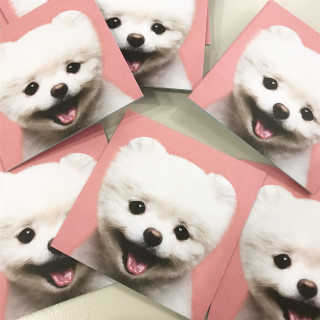 민도토리님이 올린 리뷰 사진 2