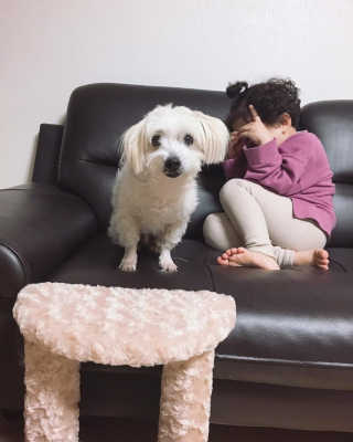 아이린지니님이 올린 리뷰 사진 2