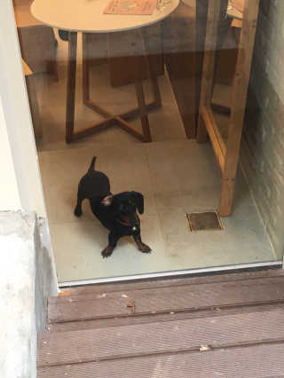 몽글이님이 올린 리뷰 사진 2