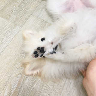 캐롯님이 올린 리뷰 사진 3