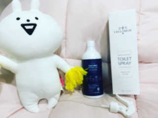 셀로몬 토일렛 스프레이 500ml — 3.5점을 준 리뷰어가 2018년 5월 올린 사용 사진