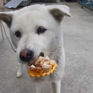 후후님이 올린 리뷰 사진 4