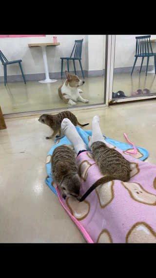 집게리아사장님님이 올린 리뷰 사진 1