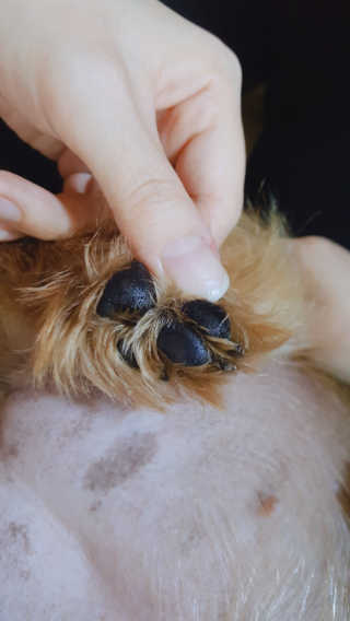 알P님이 올린 리뷰 사진 2