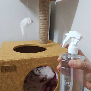 [펫토리아]살균뚝딱 강아지 고양이 살균소독제 탈취제 — 5점을 준 리뷰어가 2019년 10월 올린 사용 사진