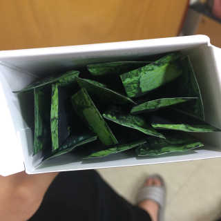 로하스웰 프랑스산 레몬밤 분말 — 3.33점을 준 리뷰어가 2018년 6월 올린 사용 사진