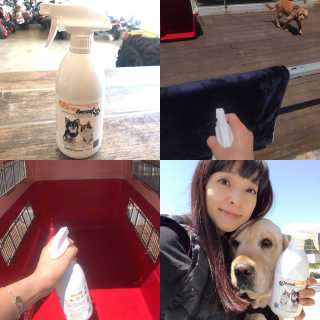 조언니님이 올린 리뷰 사진 1