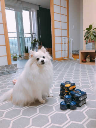 [매일 바이오] 생크림요거트 플레인 12개 + 유자 12개 — 4점을 준 리뷰어가 2019년 6월 올린 사용 사진