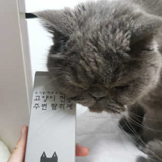 제트님이 올린 리뷰 사진 2