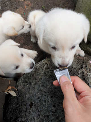 08리터 갑질,비공정성,고객응대 최악님이 올린 리뷰 사진 2