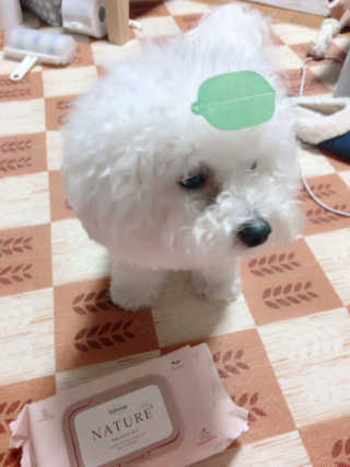 kiring0614님이 올린 리뷰 사진 3