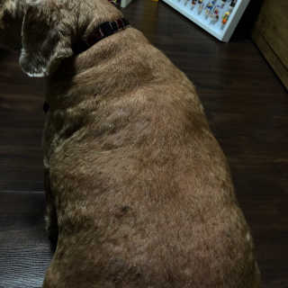 은지짱님이 올린 리뷰 사진 2
