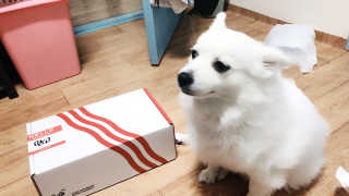 진진님이 올린 리뷰 사진 3