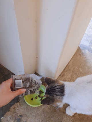 언제나피터팬님이 올린 리뷰 사진 2