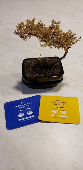 RoxyCruz님이 올린 리뷰 사진 1