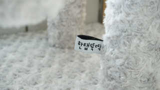 숑이님이 올린 리뷰 사진 3