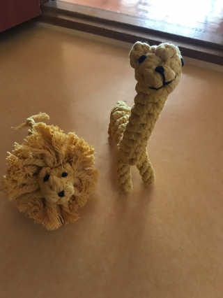 김은둥님이 올린 리뷰 사진 1