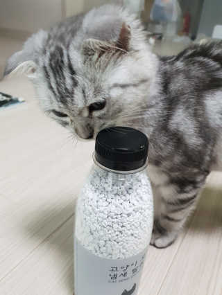 이째님이 올린 리뷰 사진 2