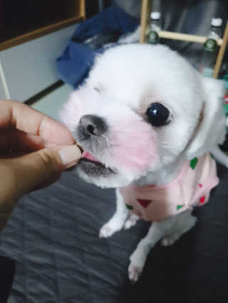 듀부듀부님이 올린 리뷰 사진 3