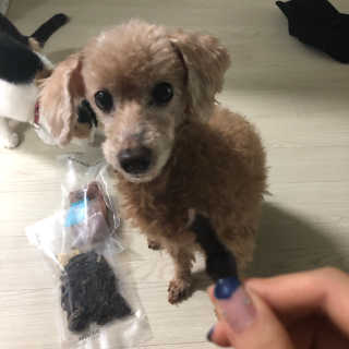 진이접속님이 올린 리뷰 사진 3