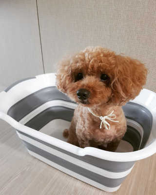 헌터님이 올린 리뷰 사진 1