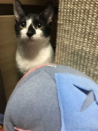 요이알라뷰님이 올린 리뷰 사진 3