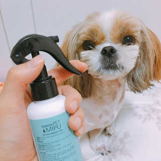 진주성님이 올린 리뷰 사진 2