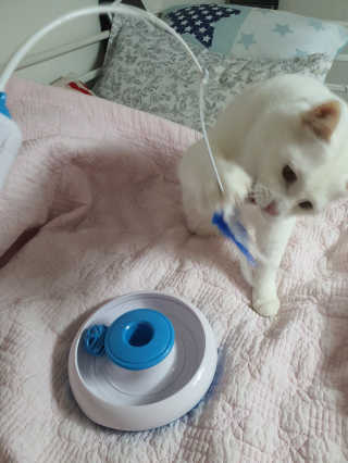 선가드님이 올린 리뷰 사진 2