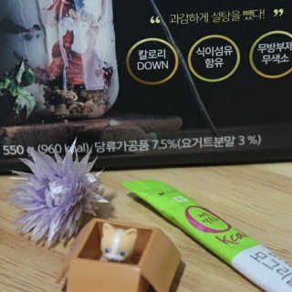 오붐주식회사 오붐 설탕을 뺀 요거트 파우더 라이트 550g+보틀 — 4.33점을 준 리뷰어가 2018년 1월 올린 사용 사진