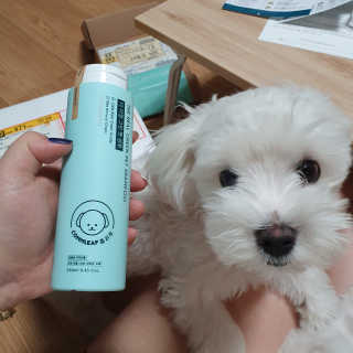 숮이님이 올린 리뷰 사진 1
