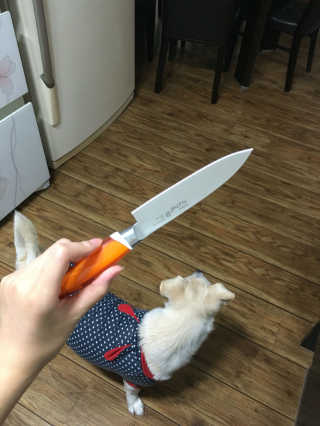 홍영주님이 올린 리뷰 사진 2