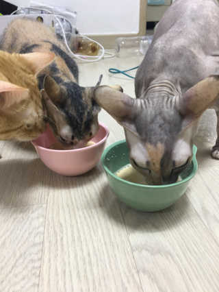 이아님이 올린 리뷰 사진 3
