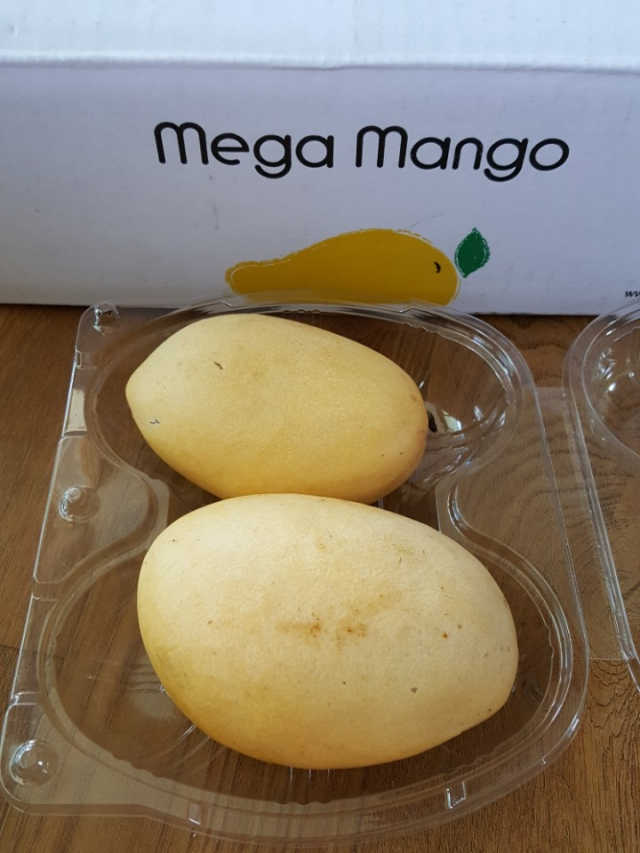 메가팜 필리핀 카라바오망고 리뷰 사진