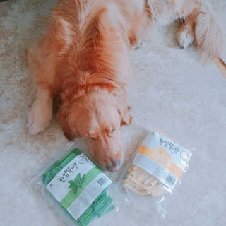 [펫토리아] BEST 한입뚝딱 실속형 강아지 덴탈껌 — 4점을 준 리뷰어가 2019년 2월 올린 사용 사진