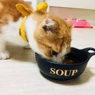 배유성님이 올린 리뷰 사진 2