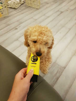 큐티윤님이 올린 리뷰 사진 2