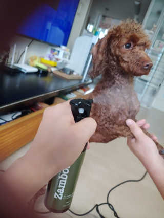 진짜님이 올린 리뷰 사진 3