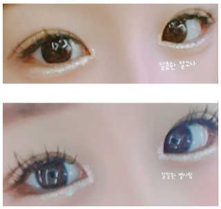 설설님이 올린 리뷰 사진 4