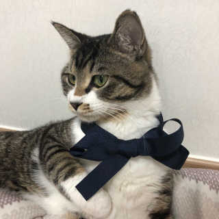 이동일님이 올린 리뷰 사진 3