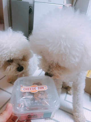 윤토마토님이 올린 리뷰 사진 2