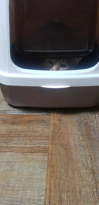 [펫토리아] BEST 한큐뚝딱 고양이 후드형 화장실 — 4점을 준 리뷰어가 2019년 1월 올린 사용 사진