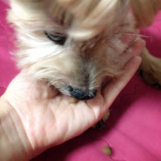 04mini04님이 올린 리뷰 사진 3