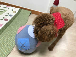 JungHyunKim님이 올린 리뷰 사진 4