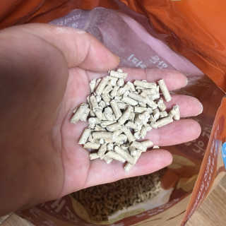 뽀잉잉님이 올린 리뷰 사진 2