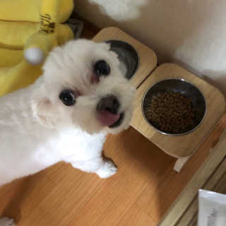 쥬루님이 올린 리뷰 사진 3