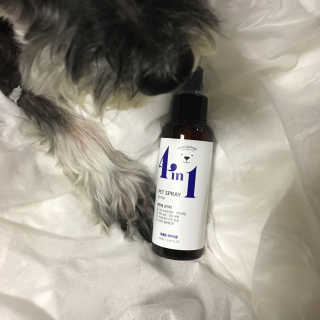 강아지스토리 포인원 모이스처 미스트 100ml — 5점을 준 리뷰어가 2018년 11월 올린 사용 사진